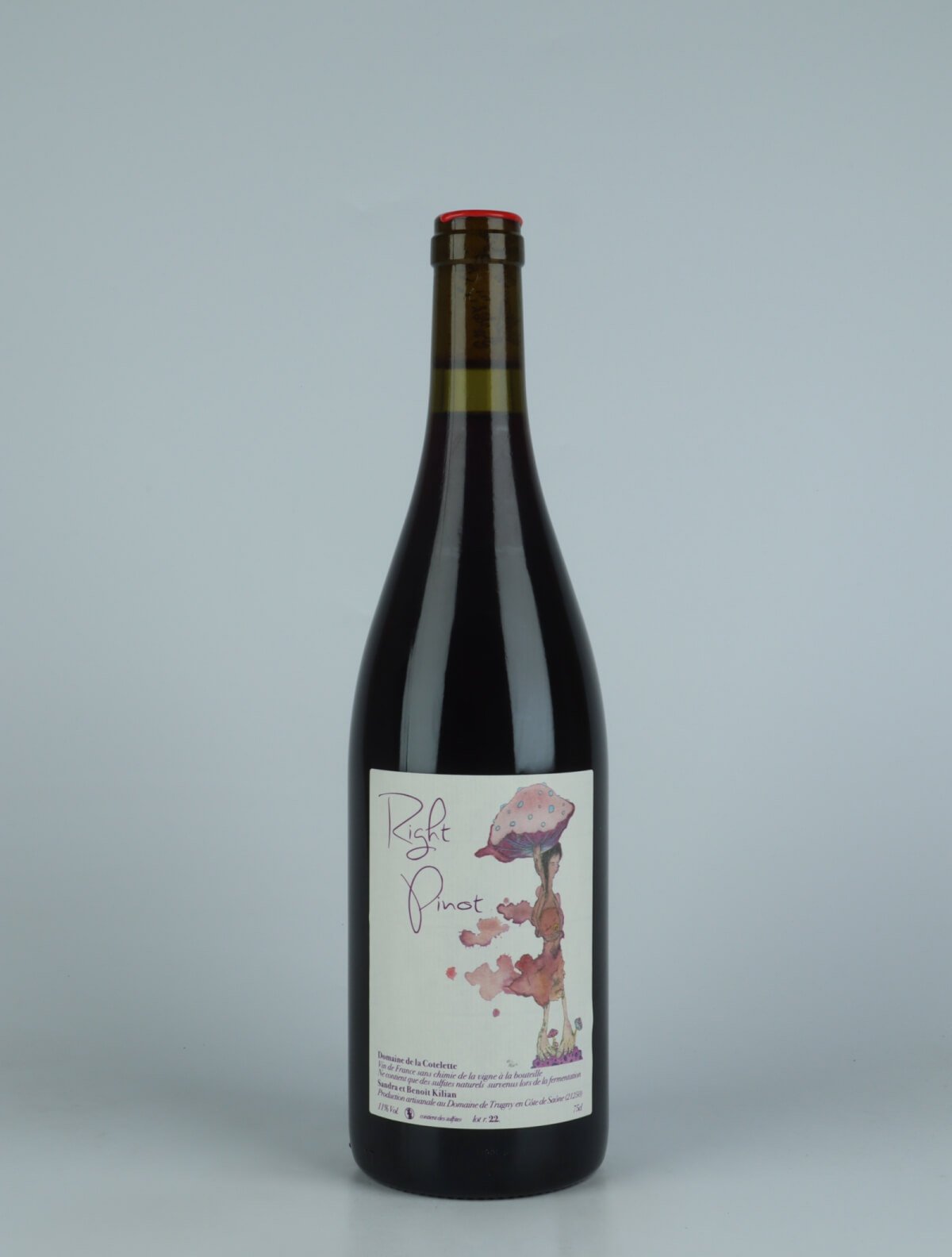 En flaske 2022 Right Pinot Rødvin fra Domaine de la Côtelette, Bourgogne i Frankrig