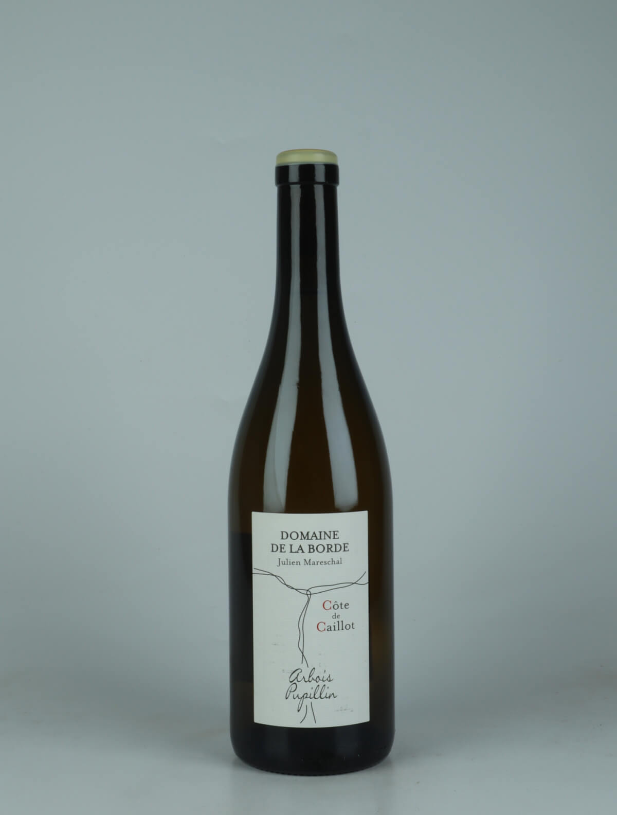 A bottle 2024 Côte de Caillot White wine from Domaine de la Borde, Jura in France